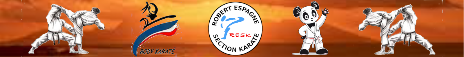 LE KARATE UN ESPRIT ZEN DANS UN SPORT SAIN